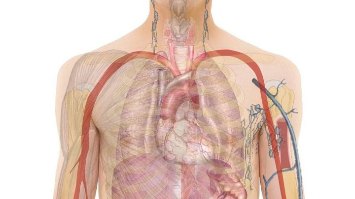 Biofeedback in der Physiotherapie macht innere Körperprozesse sichtbar. Erfahre, wie du deine Körperfunktionen bewusst steuern kannst.