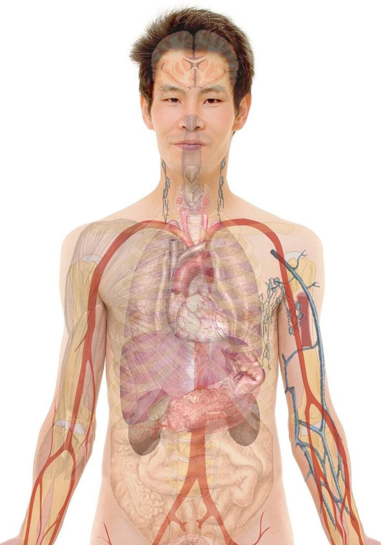Biofeedback in der Physiotherapie macht innere Körperprozesse sichtbar. Erfahre, wie du deine Körperfunktionen bewusst steuern kannst.